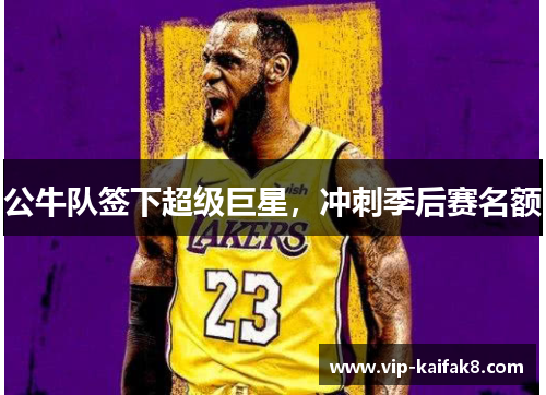 公牛队签下超级巨星，冲刺季后赛名额